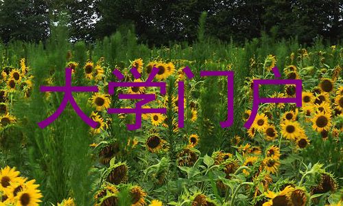 大学门户