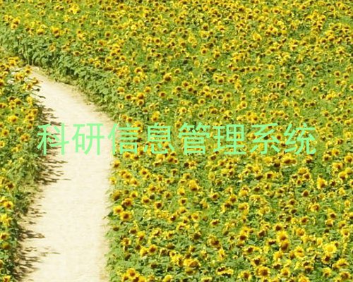 科研信息管理系统