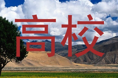 高校