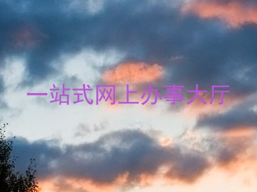 一站式网上办事大厅