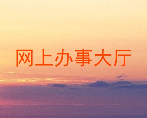 网上办事大厅
