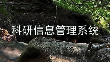科研信息管理系统
