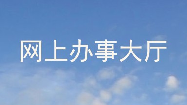 网上办事大厅