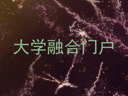 大学融合门户