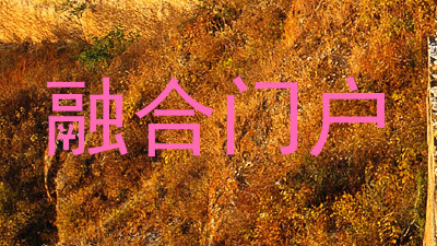 融合门户