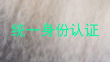 统一身份认证