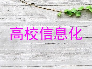 高校信息化