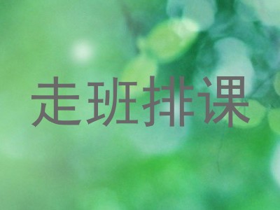 走班排课