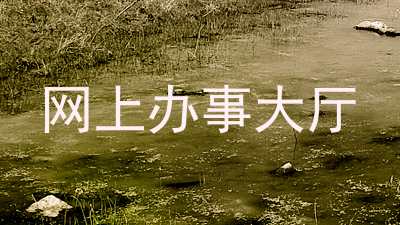 网上办事大厅