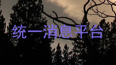 统一消息平台