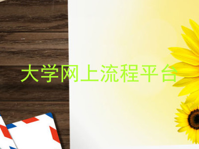大学网上流程平台