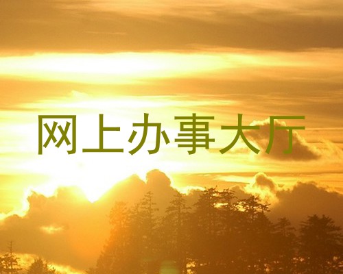 网上办事大厅
