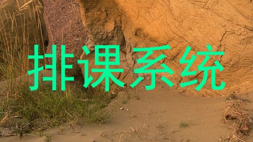 排课系统