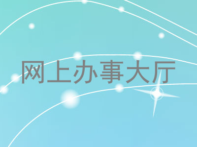 网上办事大厅
