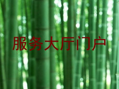 服务大厅门户