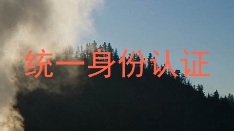 统一身份认证