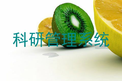 科研管理系统