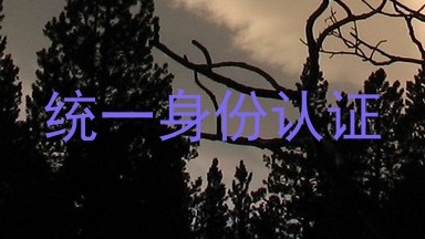 统一身份认证
