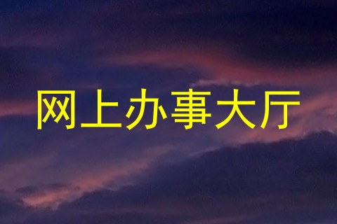 网上办事大厅