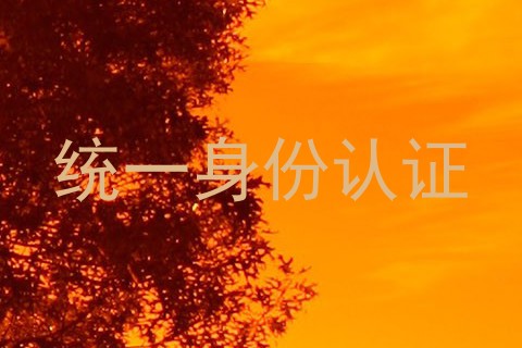 统一身份认证