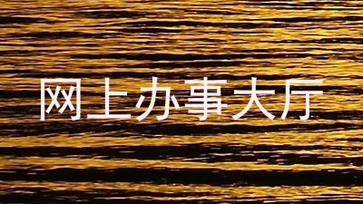 网上办事大厅