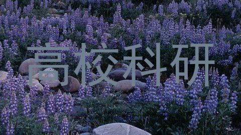高校科研