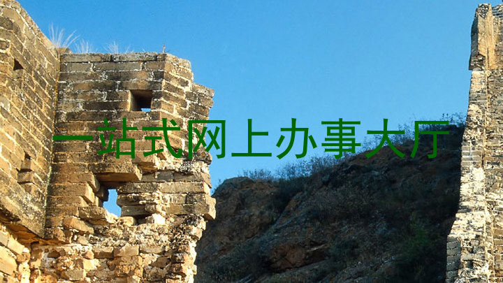 一站式网上办事大厅