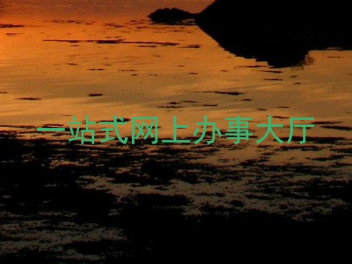 一站式网上办事大厅