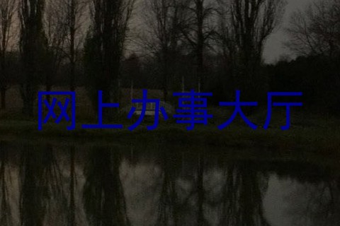 网上办事大厅