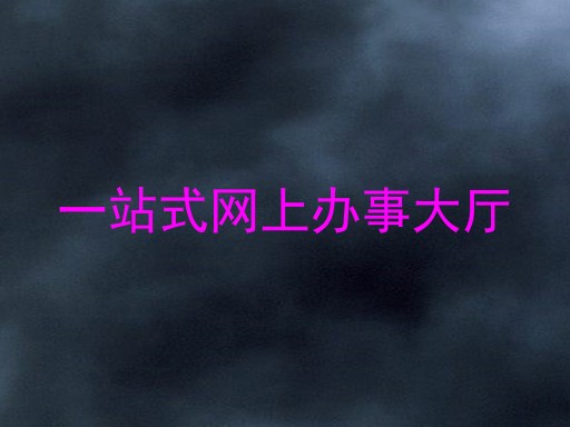 一站式网上办事大厅