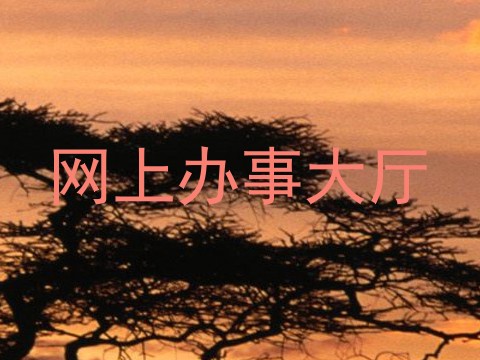 网上办事大厅
