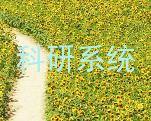 科研系统