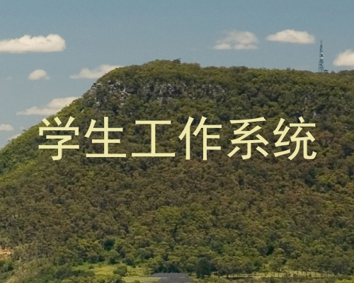 学生工作系统