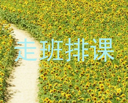 走班排课