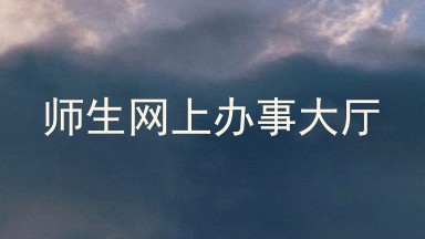 师生网上办事大厅