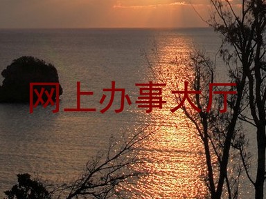 网上办事大厅