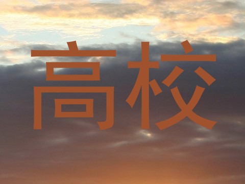 高校
