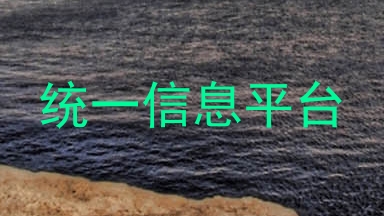 统一信息平台