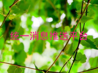 统一消息推送平台