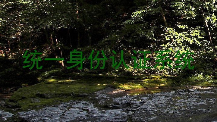 统一身份认证系统