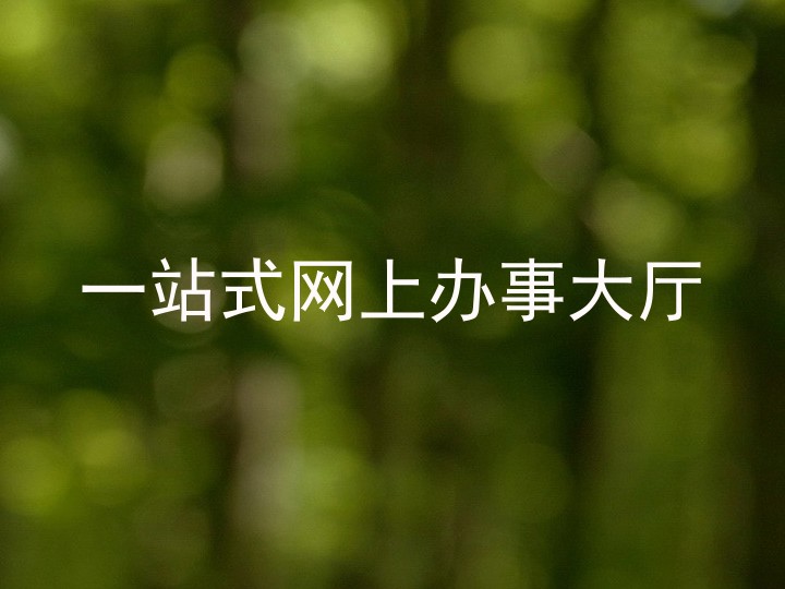 一站式网上办事大厅