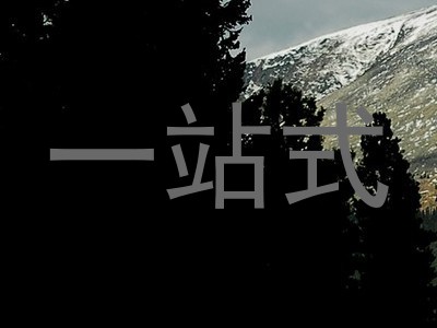 一站式