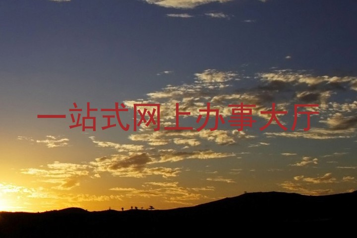 一站式网上办事大厅