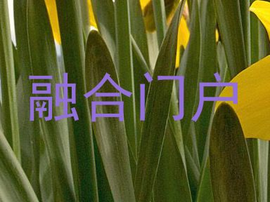 融合门户