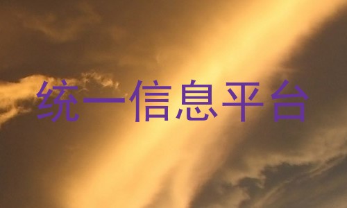 统一信息平台