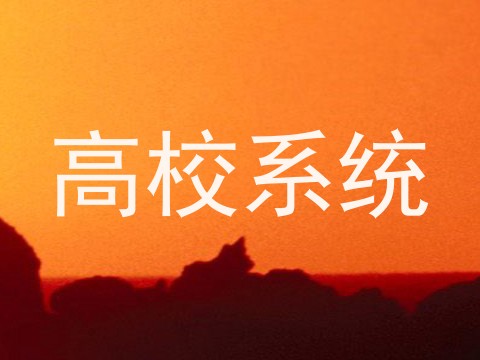高校系统
