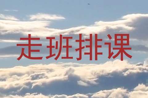 走班排课