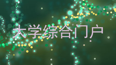 大学综合门户
