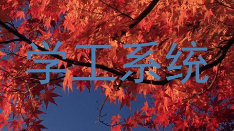 学工系统