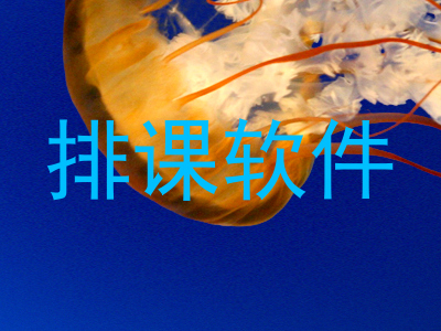 排课软件